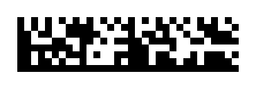 Data Matrix (Rectangular)