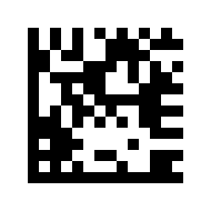 Data Matrix (Square)