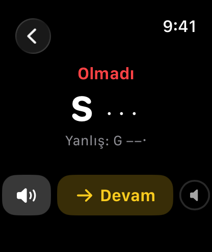 Doğru kodu, verilen cevabı, Tekrar dinle ve Devam düğmelerini gösteren sonuç ekranı