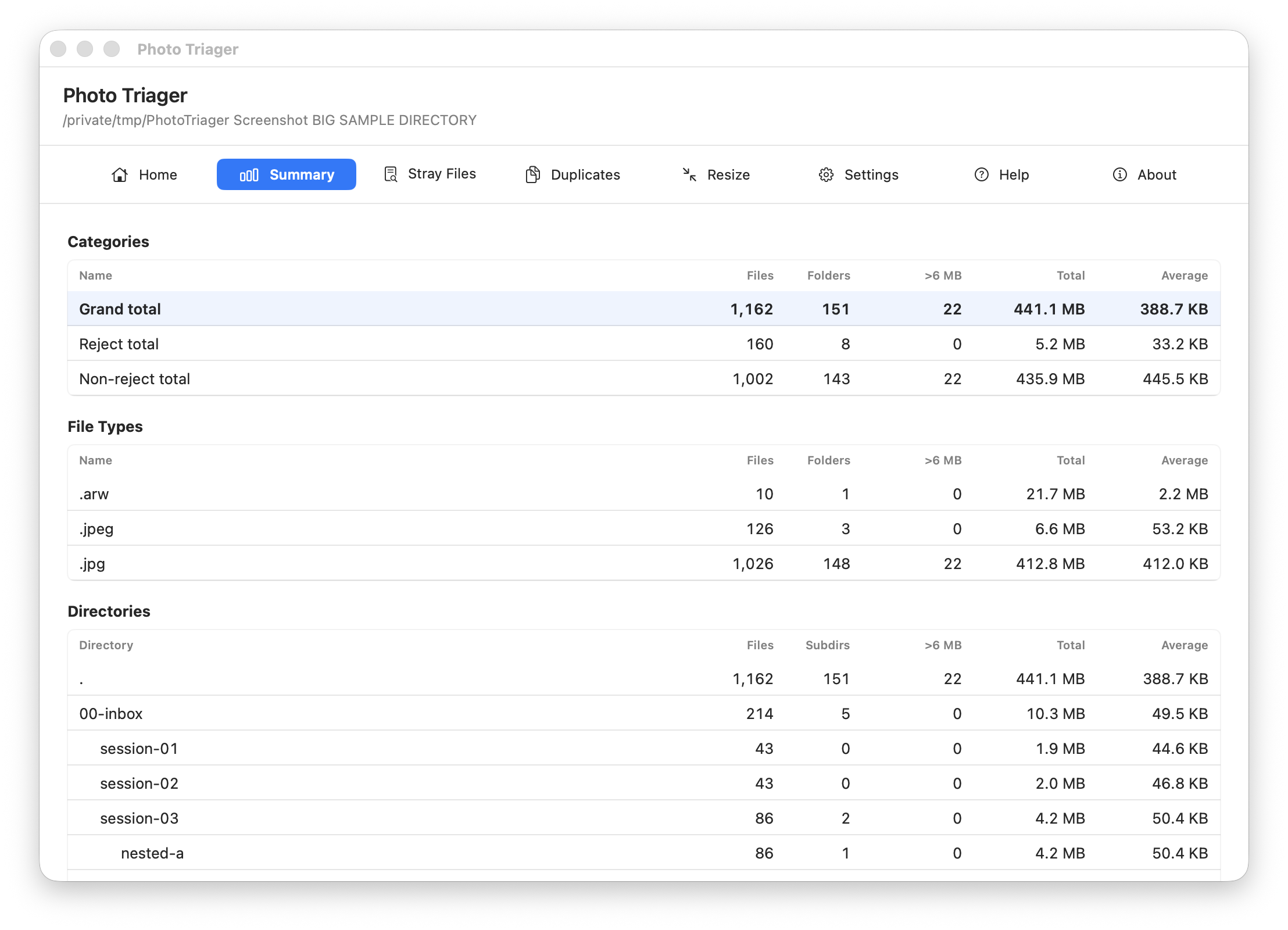 Photo Triager Summary tab showing category, file type, and directory totals