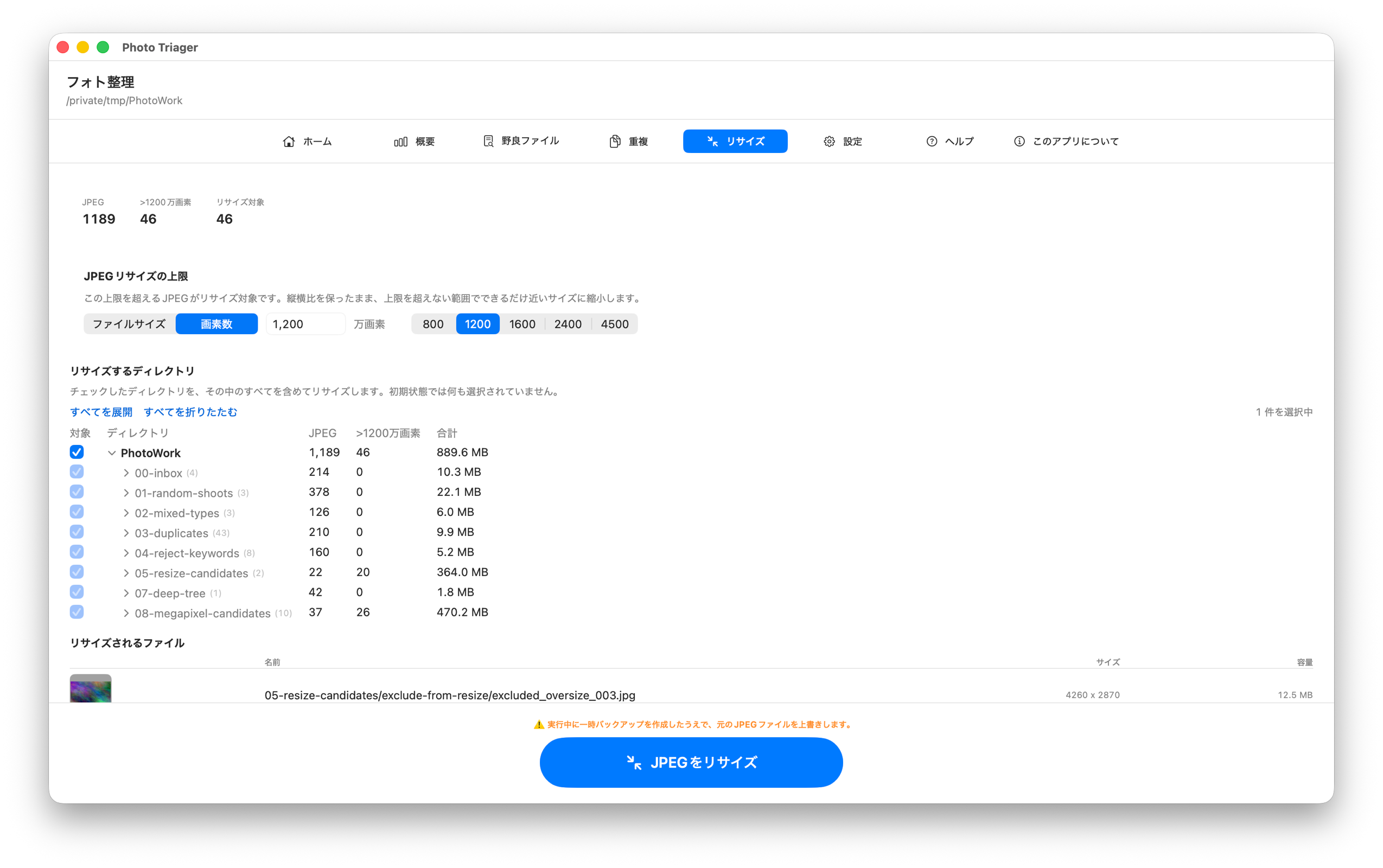 フォト整理のリサイズタブ。上限を画素数（万画素）で指定した状態